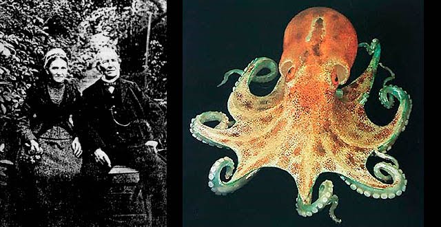 Awesome and Beautiful Art of Sc...